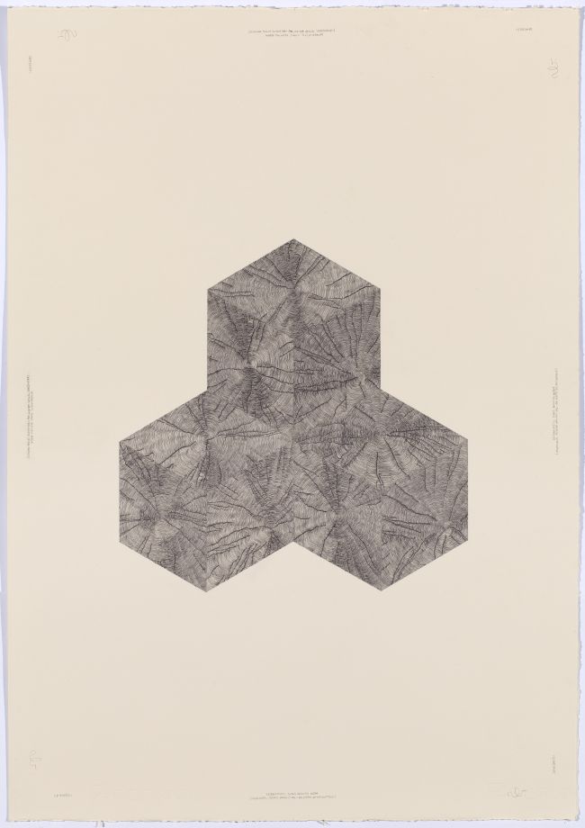 Click the image for a view of: Deterministic Chaos Drawing #064: (Hexahedral tetrad variant #6). 2014. Ball point pen on paper. 705X500mm